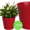 OSŁONKA CERAMICZNA CZERWONA MAT GŁADKA H24 Ø28 cm