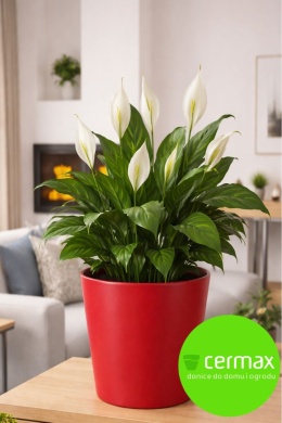 OSŁONKA CERAMICZNA CZERWONA MAT GŁADKA H27 Ø32 cm