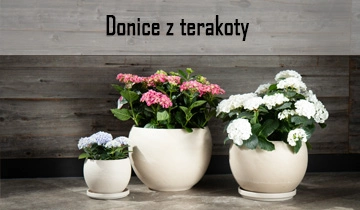 Donice z terakoty